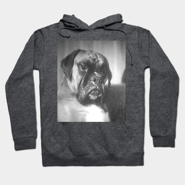 Quino, a boxer Hoodie by robelf